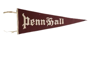 Antique Penn Hall Felt Flag Pennant