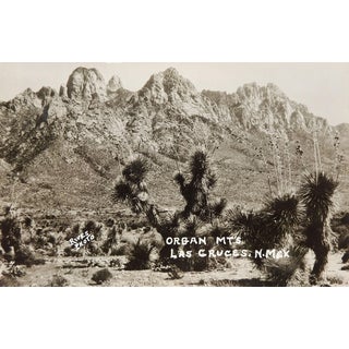 Vintage 1937 Organ Mountains Las Cruces New Mexico Photograph For Sale