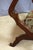 Antique Curule Chair in Wood, 1800s For Sale - Image 4 of 9
