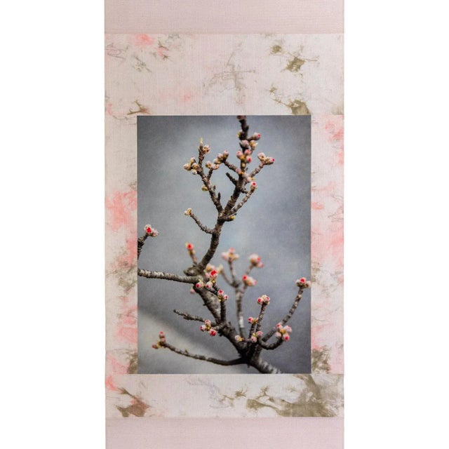 Kensho 2820, 2020 For Sale - Image 3 of 7