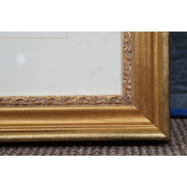 Antique John Gould Ornithological Myiabeillia Hummingbird Lithograph Print For Sale - Image 10 of 11