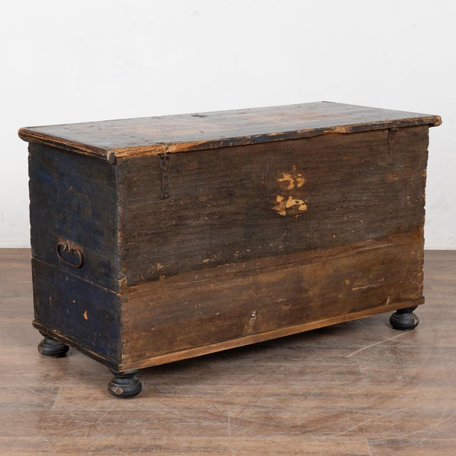 19th Century Hungarian Pine Trunk With Original Hand Painted Decoration and Drawer For Sale - Image 18 of 18
