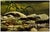 Realism Late 20th Century Prowling Leopard, Craig Bone For Sale - Image 3 of 5