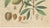 Amygdalus Communis, 1800s, Paper For Sale - Image 5 of 10