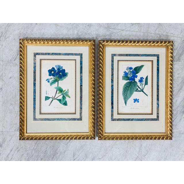 19th Century Hand Colored Botanicals, Set of Two For Sale - Image 10 of 11