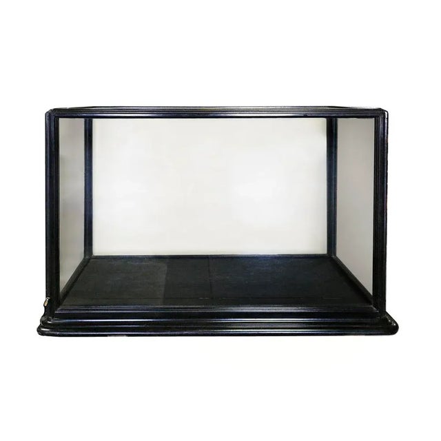 English Antique English Museum Display Cabinet For Sale - Image 3 of 4