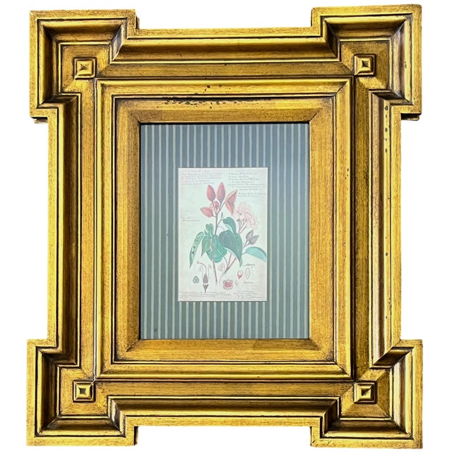 A wonderfully decorative pair of circa 2000 botanical study prints by Paragon Picture Gallery, presented in unusually...
