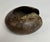 Mbole Copper Anklet Currency For Sale - Image 4 of 5