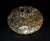 Pair Ammonite Plates Natural Fossil 4.5" For Sale - Image 15 of 15