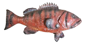 Glazed Ceramic Marine Animal