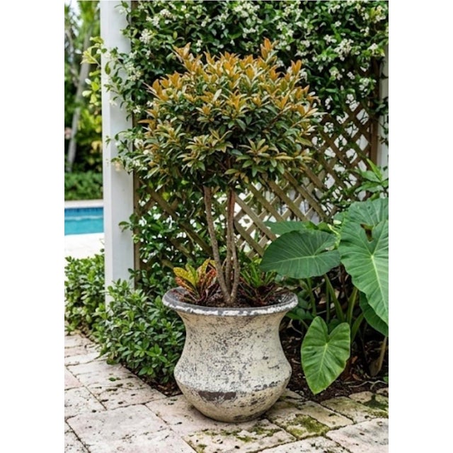 Vintage Faux-Stone Chipped Resin Garden Planter For Sale - Image 10 of 12