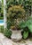Vintage Faux-Stone Chipped Resin Garden Planter For Sale - Image 10 of 12