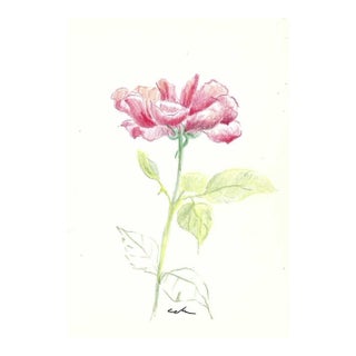 1980s Myriam Cahn Floral Drawing For Sale