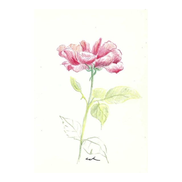 1980s Myriam Cahn Floral Drawing For Sale