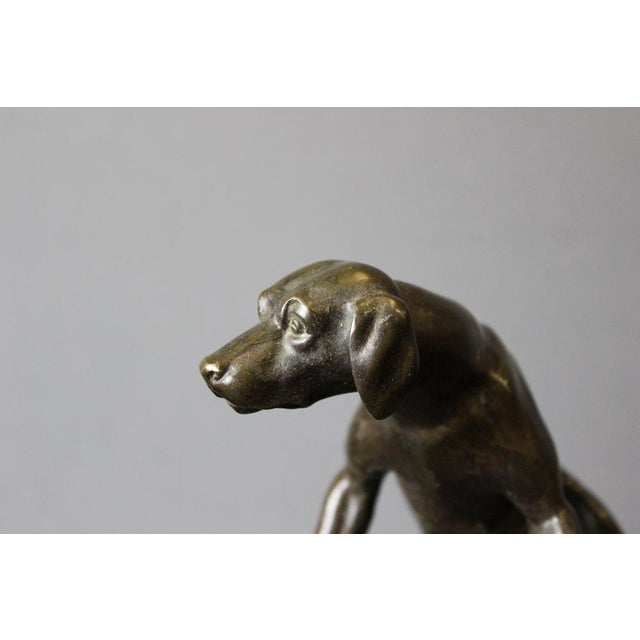 19th Century Bronze Hunting Dog Figurine For Sale - Image 5 of 14
