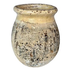 19th Century French Biot Pot Olive Jar