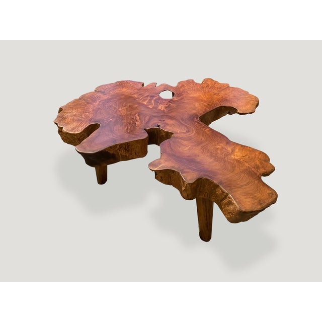 Mid-Century Modern Andrianna Shamaris Live Edge Mid-Century Modern Coffee Table For Sale - Image 3 of 6