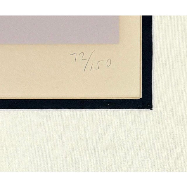 Contemporary r.c. Gorman, Cocheta (State I), Large Hand Signed Lithograph, Edition of 150, Framed, 1979 For Sale - Image 3 of 3