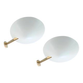 131 Sconces by Giuseppe Ostuni for Oluce, 1950s, Set of 2 For Sale
