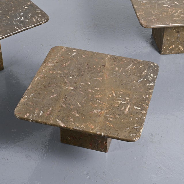 Brown Fossile Nesting Tables, Switzerland, 1970, Set of 3 For Sale - Image 8 of 17