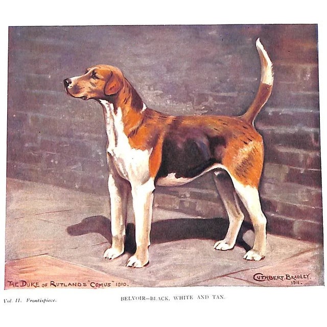 White "The Noble Science of Fox-Hunting: Vol I & Ii" 1911 Blew, w.c.A. For Sale - Image 8 of 15