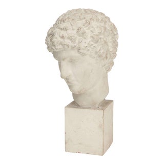 Plaster Bust For Sale