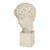 Plaster Bust For Sale