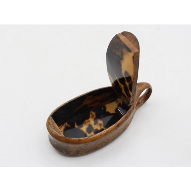 Circa 1800 Scottish Roman Lamp Form Maplewood Snuff Box For Sale - Image 4 of 8