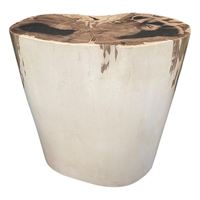 Andrianna Shamaris High Quality Exquisite Petrified Wood Side Table For Sale