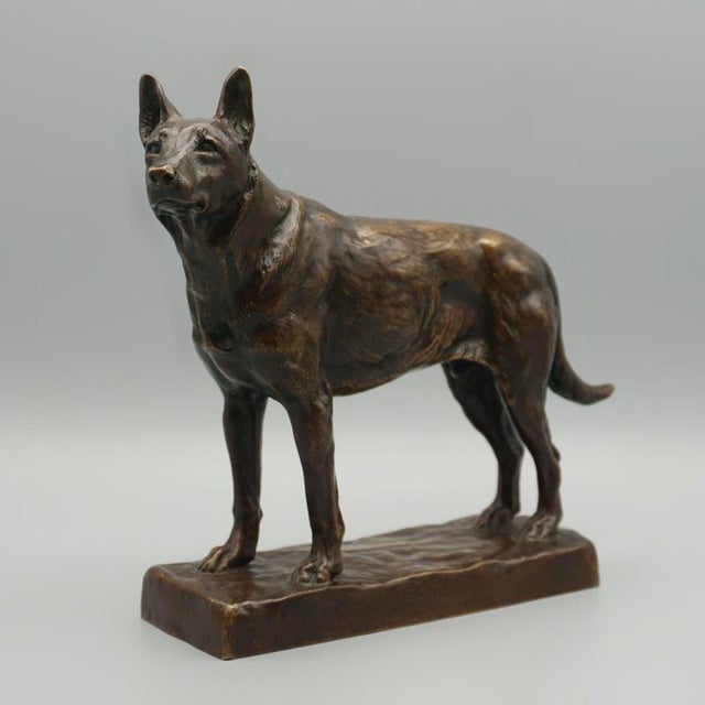 Amédéé Charles Loyseau, German Shepard, 1890s, Bronze For Sale - Image 10 of 12