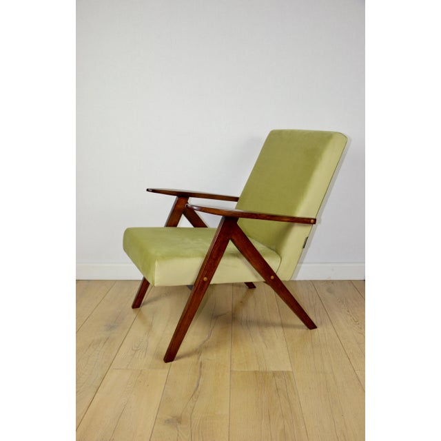 Wood B-310 Var Armchair in Green Olive Velvet, 1970s For Sale - Image 7 of 8