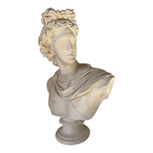 Vintage Apollo Belvedere Bust Sculpture
