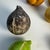 Mid 20th Century Vintage Hand-Painted Stone Fruit Collection, 10 Pieces For Sale - Image 5 of 12