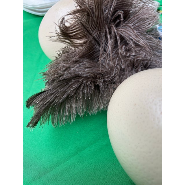 Up for consideration is a beautiful vintage pair of authentic ostrich eggs. These would look lovely in your home, and they...