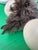 Up for consideration is a beautiful vintage pair of authentic ostrich eggs. These would look lovely in your home, and they...