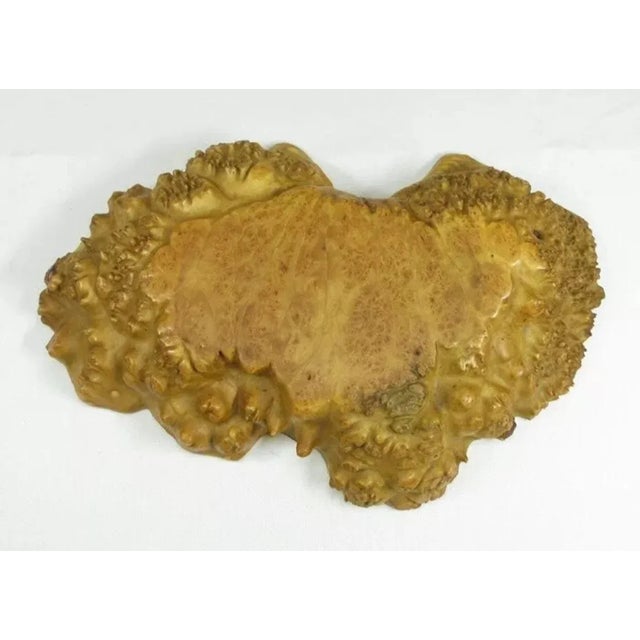 Japanese Antique Japanese Meiji Kadai Burl Presentation Board For Sale - Image 3 of 10