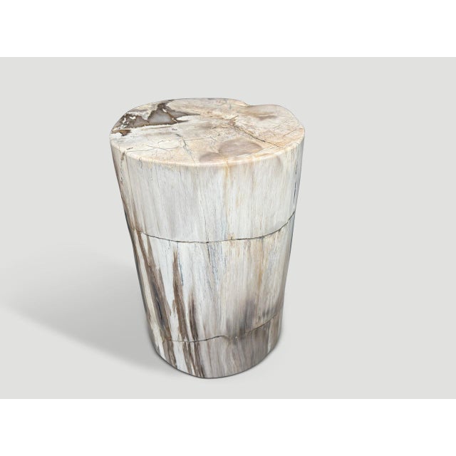 Beautiful grey tones on this ancient high quality petrified wood side table. It’s fascinating how Mother Nature produces...