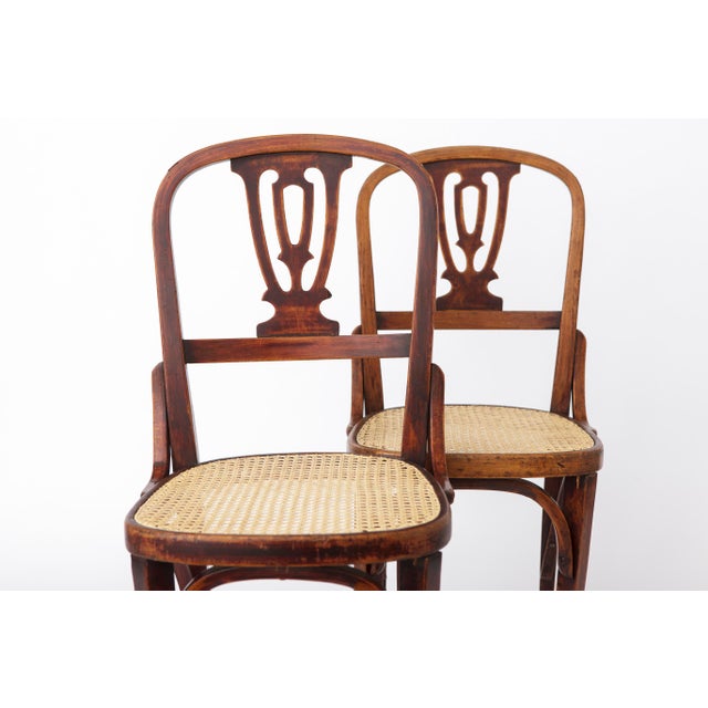 Wood Vintage Bentwood and Cane Dining Chairs, Austria, 1940s, Set of 2 For Sale - Image 7 of 10