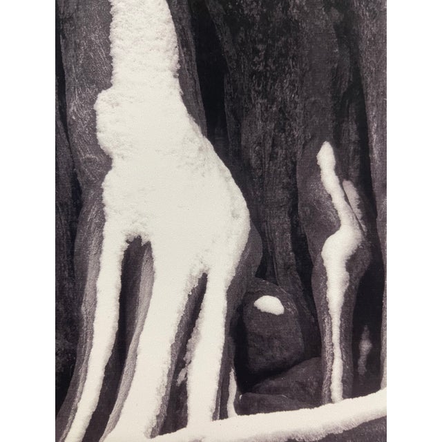Signed Black and White Photograph "Howling Wolfe" Snow Tree Stump Illusion, North Bend Wa, Dated 2003. For Sale - Image 10 of 10
