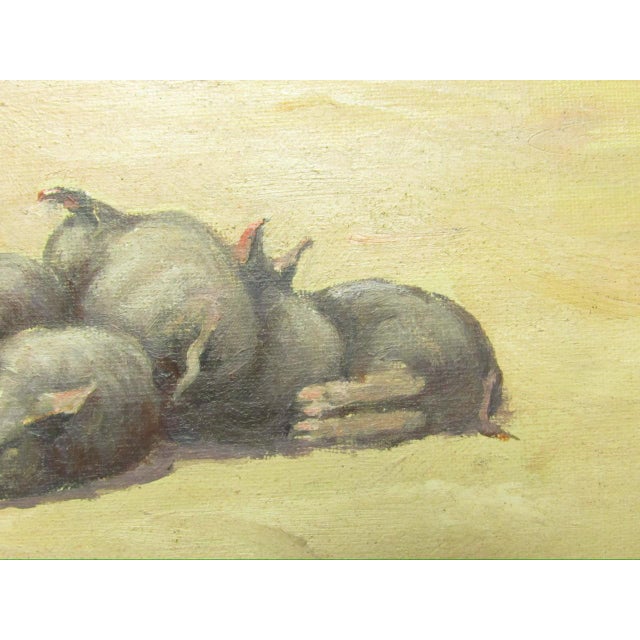 Oil on Board Painting of Pigs, Signed Julia s.g. Porter For Sale - Image 12 of 14