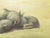 Oil on Board Painting of Pigs, Signed Julia s.g. Porter For Sale - Image 12 of 14