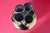 Modern Dutch Gold-Plated Ceramic Multi-Flower Vase, 1990s For Sale - Image 3 of 9