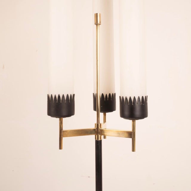 3-Armed Floor Lamp from Stilnovo, 1950s For Sale - Image 13 of 15
