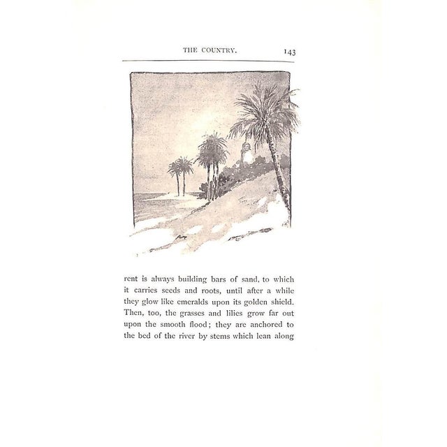 White "Florida Days" 1889 Deland, Margaret For Sale - Image 8 of 9