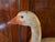 Antique Carved Wood & Paint Decorated Snow Goose Waterfowl Bird Decoy Circa 1920 For Sale - Image 9 of 18