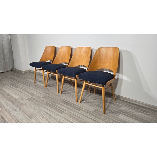 Mid 20th Century Dining Chairs by Radomir Hoffman for Ton, 1950s, Set of 4 For Sale - Image 5 of 15