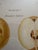 Series of 4 19th C Hand Colored Engravings of Apples For Sale - Image 12 of 17