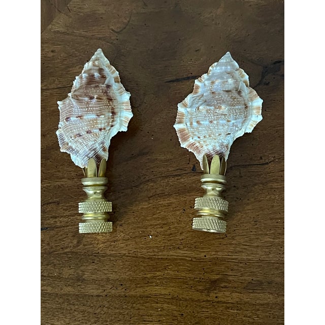 Vintage Pair of Sea Shell Lamp Finials For Sale - Image 4 of 4