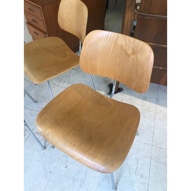 Charles Eames Dcm Molded Plywood Chairs For Herman Miller White Ash Set Of 6 Chairish