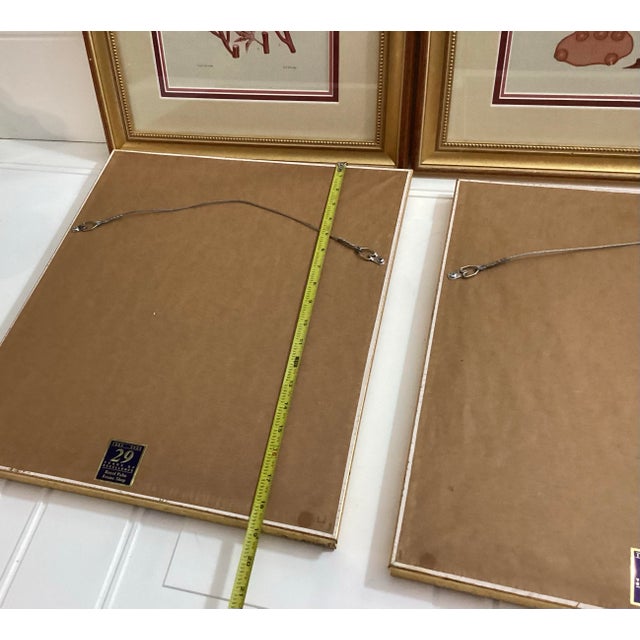 Set of 4 William Henry Harvey Seaweed For Sale - Image 10 of 12